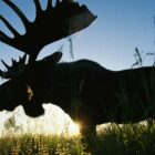Are moose dangerous animals?