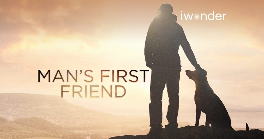 Man's First friend: from wolves to dogs