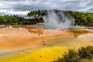 New extremophile bacterium unique to New Zealand